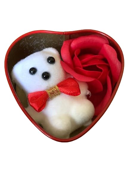 Deevaz Valentine Artificial Flower, Soft Toy Gift Set (Pack of 1)