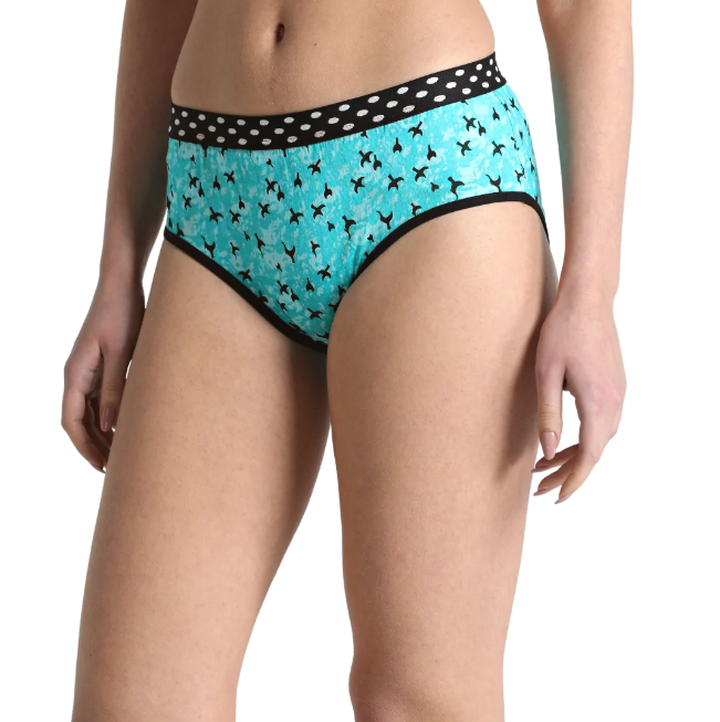 Deevaz Cotton Rich Mid Waist Bird Printed Hipster Panty In Mint Green Colour.