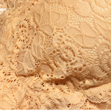 Load image into Gallery viewer, Deevaz Padded non-wired Floral Lace Crop Bralette in Beige Colour.
