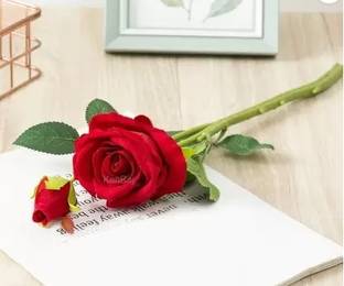 Deevaz Valentines Special Red Rose Flowers (Pack Of 1)