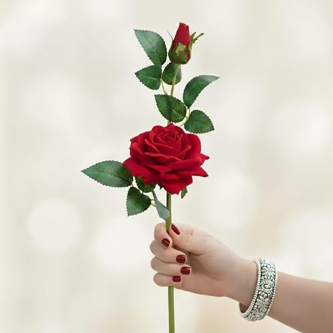 Deevaz Valentines Special Red Rose Flowers (Pack Of 1)