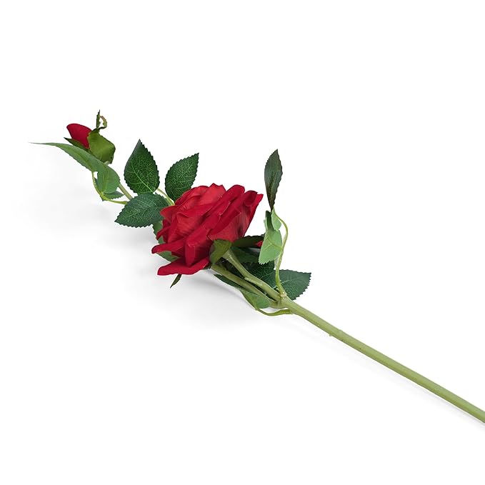 Deevaz Valentines Special Red Rose Flowers (Pack Of 1)