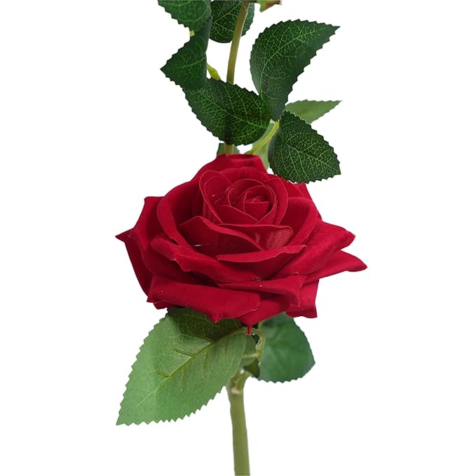 Deevaz Valentines Special Red Rose Flowers (Pack Of 1)