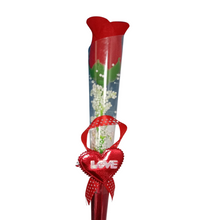 Load image into Gallery viewer, Deevaz Valentines Special Red Rose Flowers for Lovers Single Wrapped in plastic Cover (Pack of 1)
