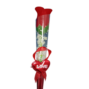 Deevaz Valentines Special Red Rose Flowers for Lovers Single Wrapped in plastic Cover (Pack of 1)