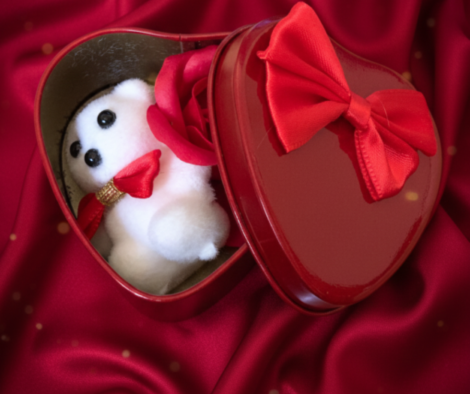 Deevaz Valentine Artificial Flower, Soft Toy Gift Set (Pack of 1)