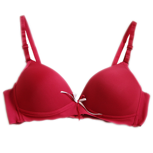 Deevaz Maroon Seamless Lightly Padded Non-Wired Bra.