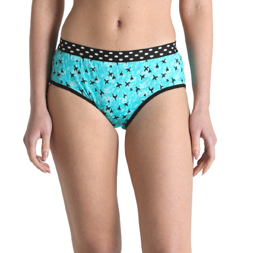 Deevaz Cotton Rich Mid Waist Bird Printed Hipster Panty In Mint Green Colour.