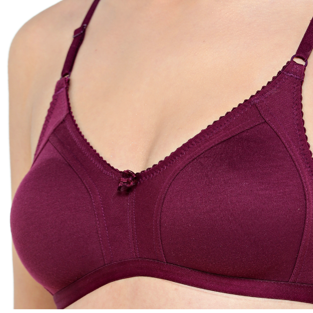 Deevaz Spacer Rich Fabric Moulded Cup Full Coverage Bra- Combo of 3 in Purple Skin & Black